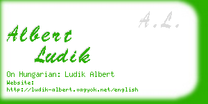 albert ludik business card